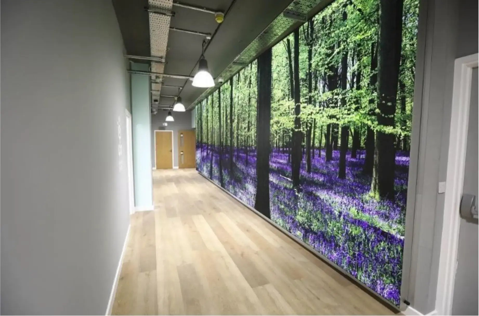 Tension Fabric Systems (2)