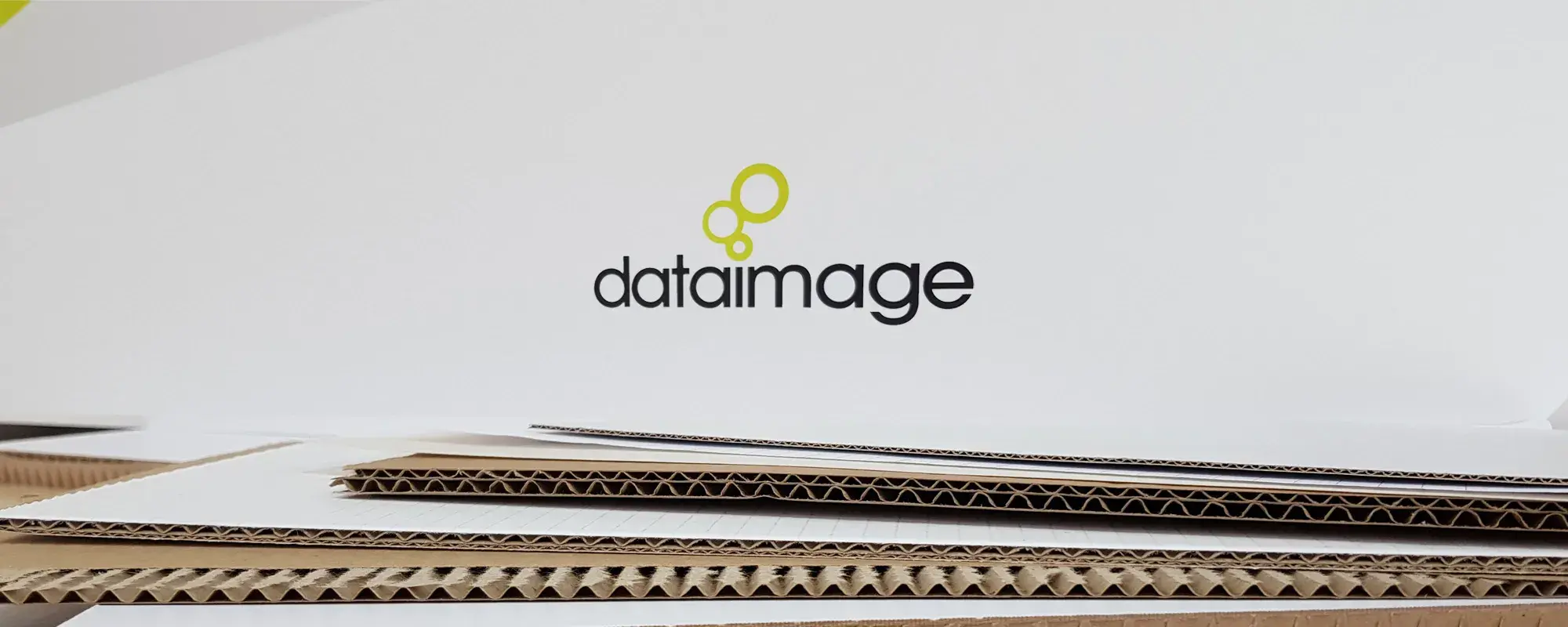 Our Rebrand: Data Image Go Green